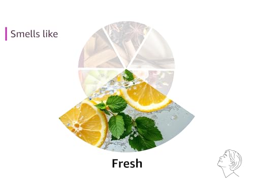 eos Shea Better Body Lotion Vanilla Cashmere, 24-Hour Moisture Skin Care, Lightweight & Non-Greasy, Natural Shea, Vegan, Vanilla Body Lotion, 16 fl oz