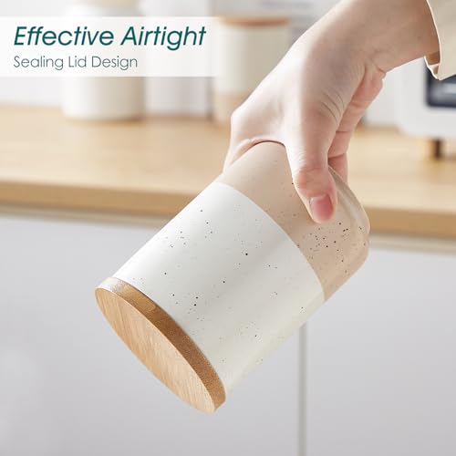 vancasso Sabine Ceramic Canister Set with Airtight Wood Lids - 3-Piece Kitchen Storage for Flour, Sugar, Coffee, Tea & Spices - Modern Countertop Decor